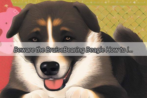 Beware the BruiseBearing Beagle How to Identify and Treat a Dog Bites Purple and Puffy Peril